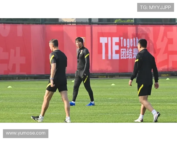 南京足球队比赛经验引发热议球迷对战术选择和球员表现各执己见 南京足球队比赛经验引发热议球迷对战术选择和球员表现各执己见