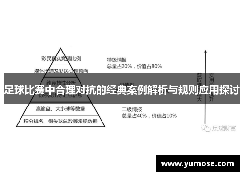足球比赛中合理对抗的经典案例解析与规则应用探讨