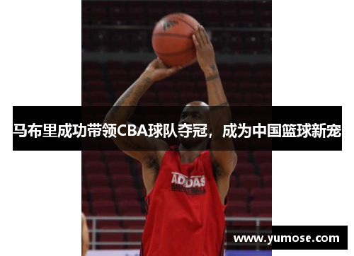 马布里成功带领CBA球队夺冠，成为中国篮球新宠